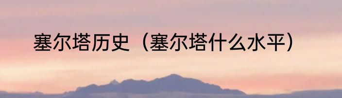 塞尔塔历史（塞尔塔什么水平）