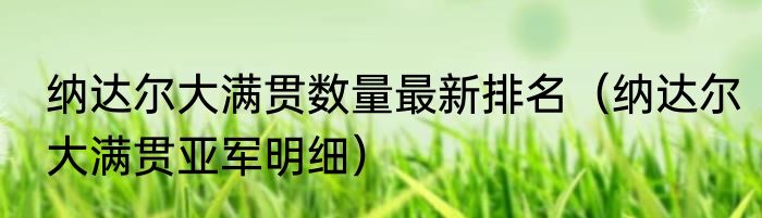 纳达尔大满贯数量最新排名（纳达尔大满贯亚军明细）