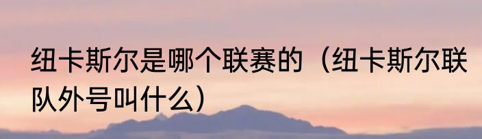 纽卡斯尔是哪个联赛的（纽卡斯尔联队外号叫什么）