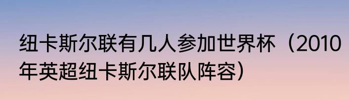 纽卡斯尔联有几人参加世界杯（2010年英超纽卡斯尔联队阵容）
