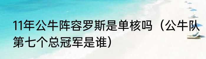 11年公牛阵容罗斯是单核吗（公牛队第七个总冠军是谁）