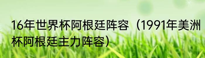 16年世界杯阿根廷阵容（1991年美洲杯阿根廷主力阵容）
