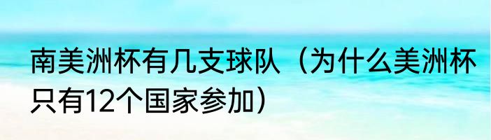 南美洲杯有几支球队（为什么美洲杯只有12个国家参加）