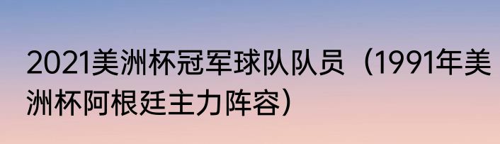 2021美洲杯冠军球队队员（1991年美洲杯阿根廷主力阵容）