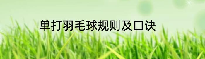 单打羽毛球规则及口诀