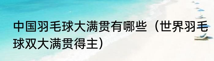 中国羽毛球大满贯有哪些（世界羽毛球双大满贯得主）