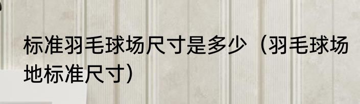 标准羽毛球场尺寸是多少（羽毛球场地标准尺寸）