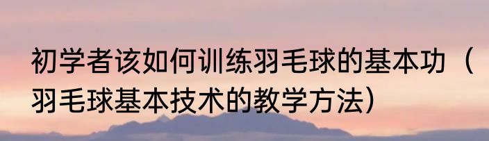 初学者该如何训练羽毛球的基本功（羽毛球基本技术的教学方法）
