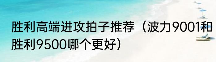 胜利高端进攻拍子推荐（波力9001和胜利9500哪个更好）
