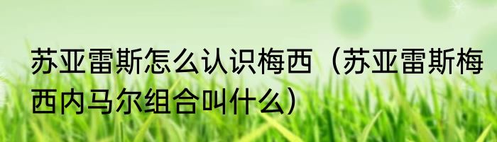 苏亚雷斯怎么认识梅西（苏亚雷斯梅西内马尔组合叫什么）