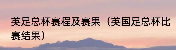 英足总杯赛程及赛果（英国足总杯比赛结果）