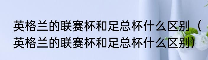 英格兰的联赛杯和足总杯什么区别（英格兰的联赛杯和足总杯什么区别）