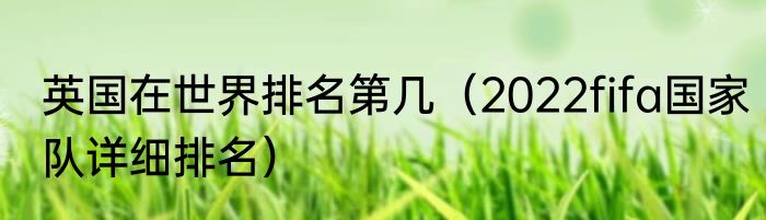 英国在世界排名第几（2022fifa国家队详细排名）