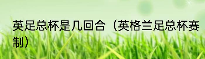 英足总杯是几回合（英格兰足总杯赛制）