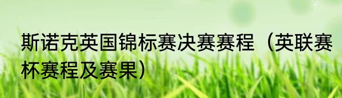斯诺克英国锦标赛决赛赛程（英联赛杯赛程及赛果）
