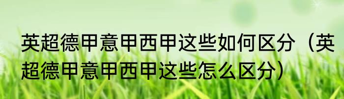 英超德甲意甲西甲这些如何区分（英超德甲意甲西甲这些怎么区分）