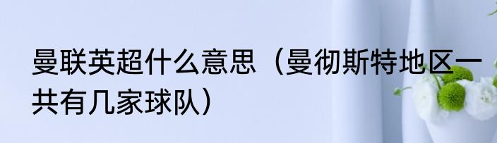 曼联英超什么意思（曼彻斯特地区一共有几家球队）