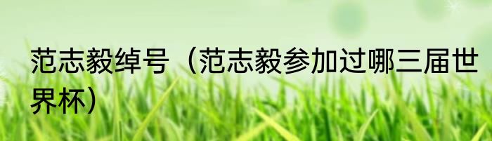 范志毅绰号（范志毅参加过哪三届世界杯）