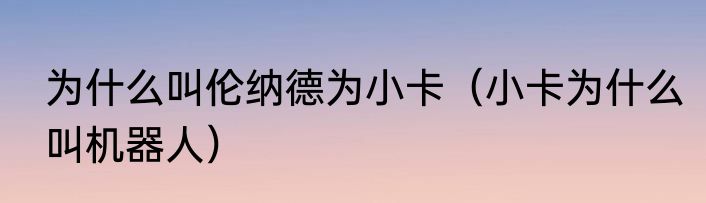 为什么叫伦纳德为小卡（小卡为什么叫机器人）