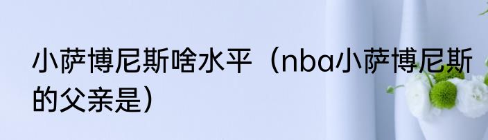 小萨博尼斯啥水平（nba小萨博尼斯的父亲是）