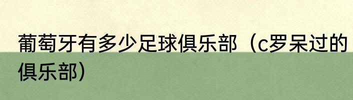 葡萄牙有多少足球俱乐部（c罗呆过的俱乐部）