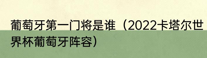 葡萄牙第一门将是谁（2022卡塔尔世界杯葡萄牙阵容）