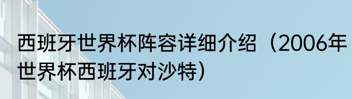 西班牙世界杯阵容详细介绍（2006年世界杯西班牙对沙特）