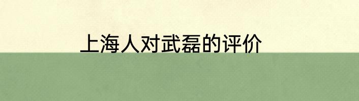 上海人对武磊的评价
