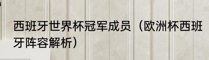 西班牙世界杯冠军成员（欧洲杯西班牙阵容解析）