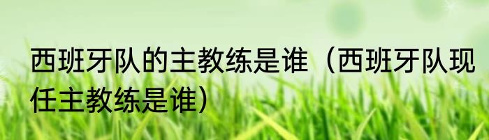 西班牙队的主教练是谁（西班牙队现任主教练是谁）