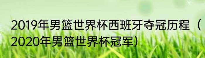 2019年男篮世界杯西班牙夺冠历程（2020年男篮世界杯冠军）