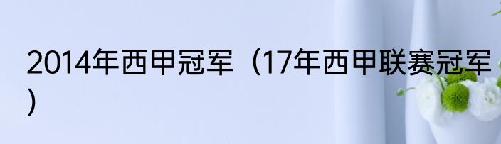 2014年西甲冠军（17年西甲联赛冠军）