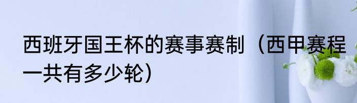 西班牙国王杯的赛事赛制（西甲赛程一共有多少轮）