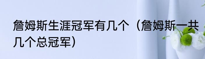 詹姆斯生涯冠军有几个（詹姆斯一共几个总冠军）