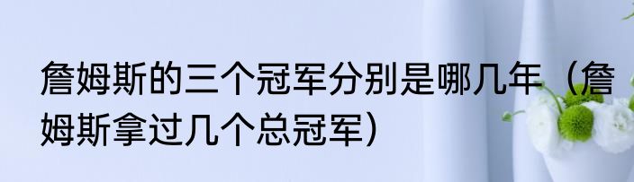 詹姆斯的三个冠军分别是哪几年（詹姆斯拿过几个总冠军）