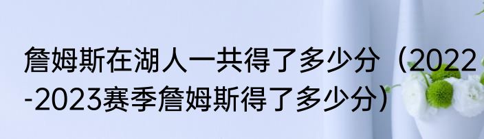 詹姆斯在湖人一共得了多少分（2022-2023赛季詹姆斯得了多少分）