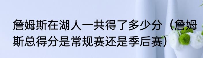 詹姆斯在湖人一共得了多少分（詹姆斯总得分是常规赛还是季后赛）