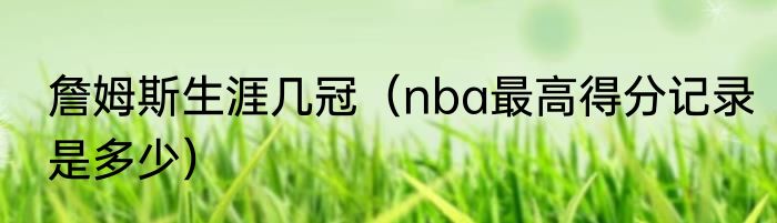 詹姆斯生涯几冠（nba最高得分记录是多少）