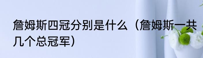 詹姆斯四冠分别是什么（詹姆斯一共几个总冠军）