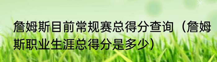 詹姆斯目前常规赛总得分查询（詹姆斯职业生涯总得分是多少）