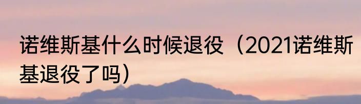 诺维斯基什么时候退役（2021诺维斯基退役了吗）
