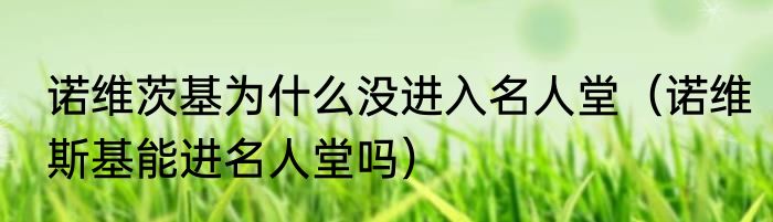诺维茨基为什么没进入名人堂（诺维斯基能进名人堂吗）