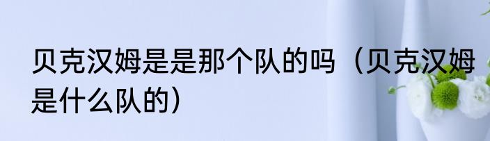 贝克汉姆是是那个队的吗（贝克汉姆是什么队的）