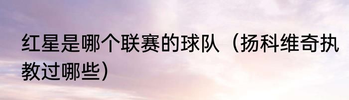 红星是哪个联赛的球队（扬科维奇执教过哪些）