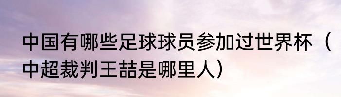 中国有哪些足球球员参加过世界杯（中超裁判王喆是哪里人）