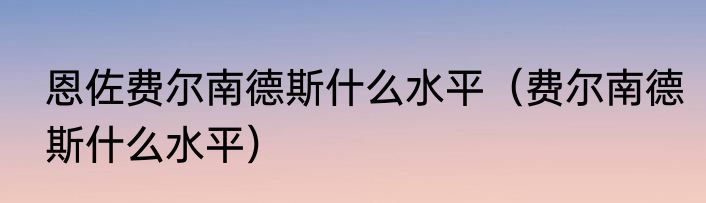 恩佐费尔南德斯什么水平（费尔南德斯什么水平）