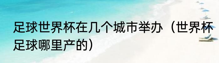 足球世界杯在几个城市举办（世界杯足球哪里产的）
