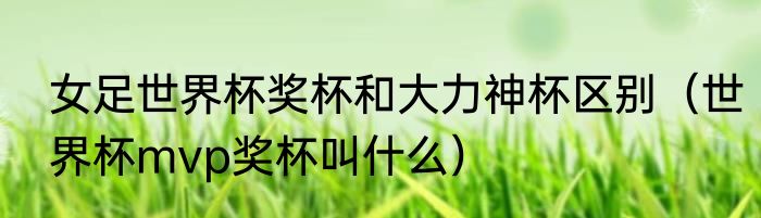 女足世界杯奖杯和大力神杯区别（世界杯mvp奖杯叫什么）