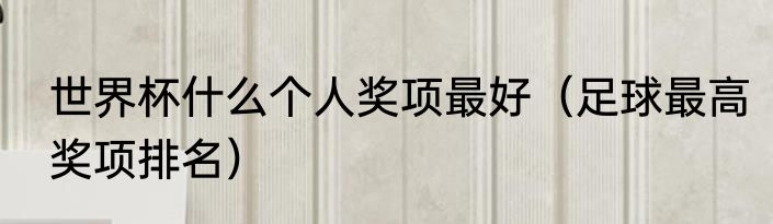 世界杯什么个人奖项最好（足球最高奖项排名）