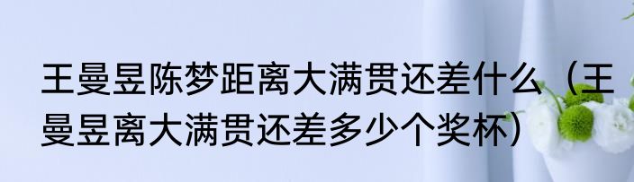 王曼昱陈梦距离大满贯还差什么（王曼昱离大满贯还差多少个奖杯）